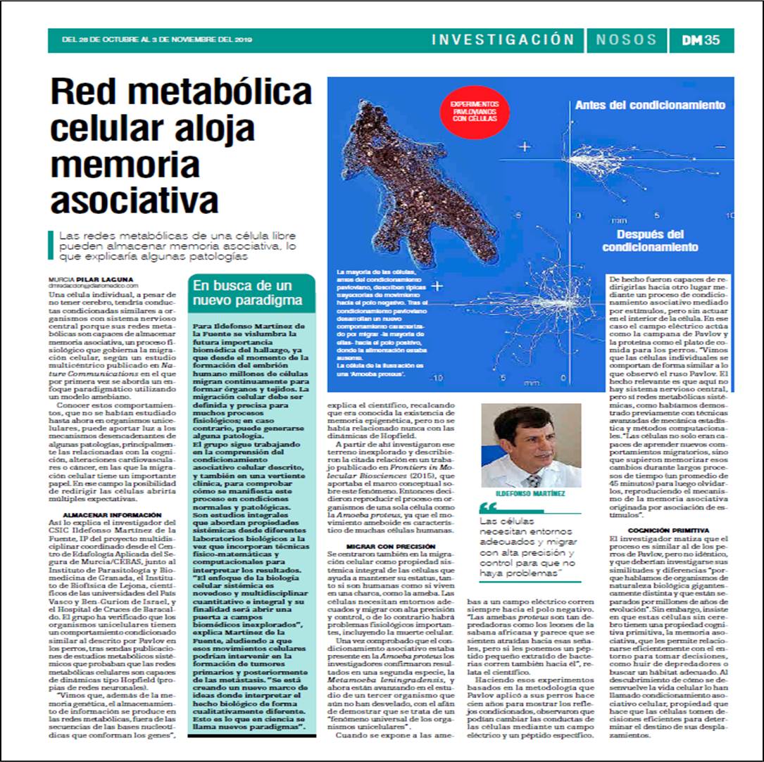 Red metabolica celular